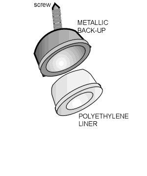 cementless cup